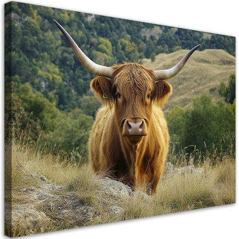 Tableau déco Vache écossaise des hautes terres Paysage de montagne 100x70 (1/5)