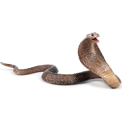 Faux jouet serpent réaliste en caoutchouc souple pour éloigner les oiseaux, accessoires de décoration de Festival (1/5)