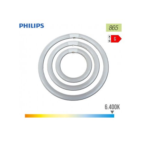 Tube fluorescent circulaire triphosphore 22 W 6500 K lumière froide ø 21 cm – 1250 lumens – Durée de vie 10 000 heures – Angle de diffusion 360° – EHL