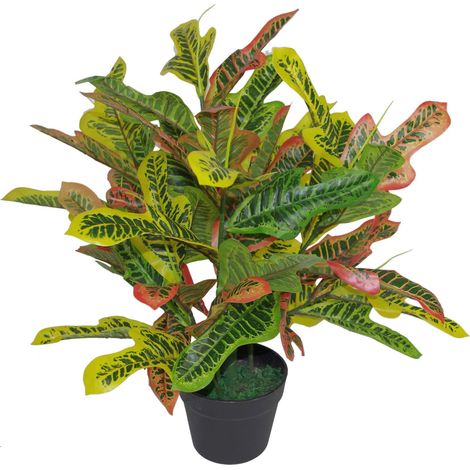 65cm Artificial Codiaeum Multicoloured House Plant (1/5)