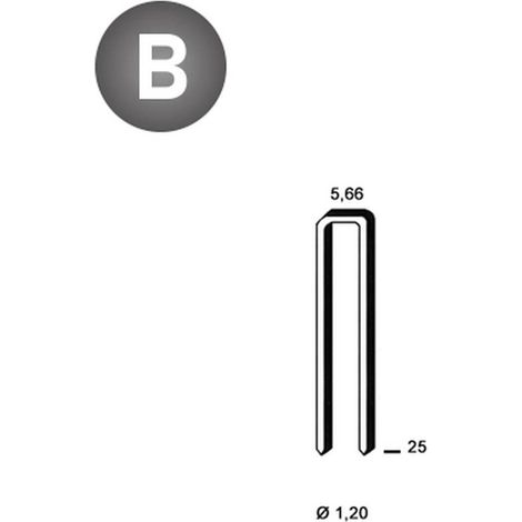 5 000 Agrafes E-25 - Galvanisées Résinées - Claires - 5.66x25x1.2 mm - D-Work