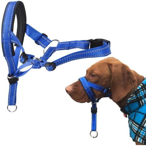 Licol pour chien avec tissu rembourré, collier pour chien, XL (1/5)