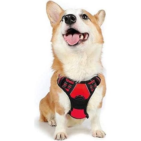 Harnais Chien M Arnais Rouge Anti Traction Réfléchissant Gilet Réglable pour Chien, Attache Devant Crochet de Laisse pour Randonnée Trajet Voiture, Bouledogue Français, Berger Australien-Ensoleillé (1/5)