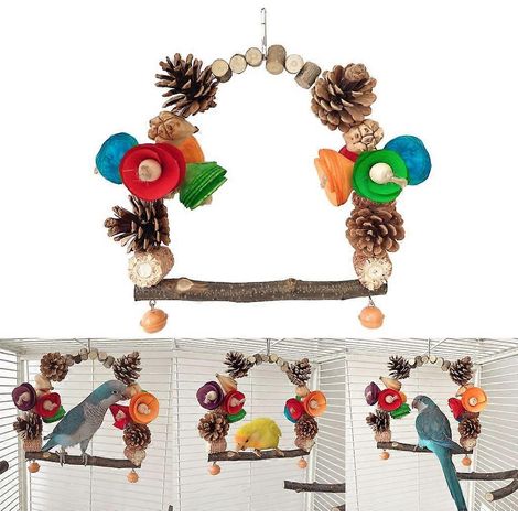 Perchoir, balançoire et support colorés pour cage de perruches ondulées - Jouet pour perroquets (1/4)