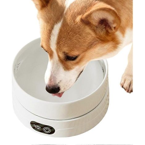 Gamelle chauffante GETIT pour animaux de compagnie avec 4 réglages de température, gamelle d'eau thermale pour chiens, abreuvoir adapté à une utilisation à la ferme et pour chats.-AquaForge (1/3)