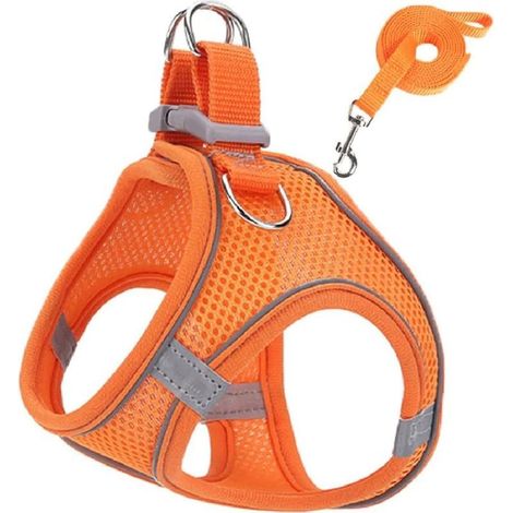 Harnais Chien, Harnais Pour Chien Chat Pour Promenade De Chien En Plein Air Dressage Step-In Harnais(S) (1/5)