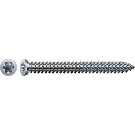 Spax-Ra 7,5x60 Flachsenkkopf T-Star Plus T30 Vollgewinde Wirox 100St