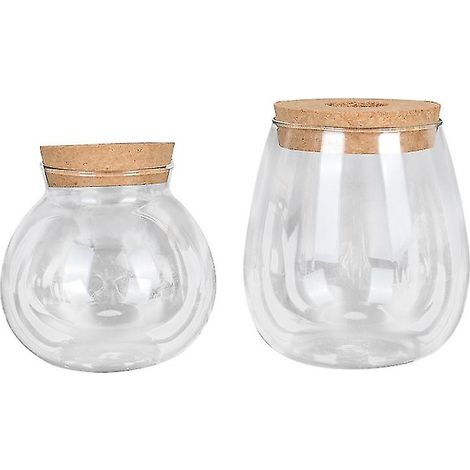2 pots de fleurs en verre (1/3)