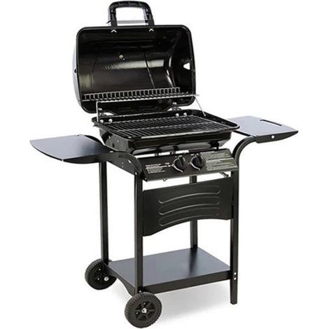 BARBECUE A GAS 2 FUOCHI ACCIAIO CON COPERCHIO RUOTE AREA COTTURA 50X35,5 CM (1/2)