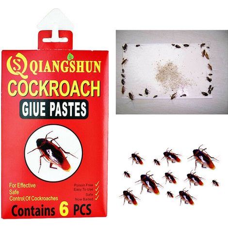 6 pièges adhésifs à cafards - Appât puissant pour éliminer les cafards et autres insectes de la maison (1/5)