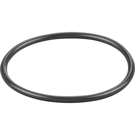 Rems O-Ring 060357
