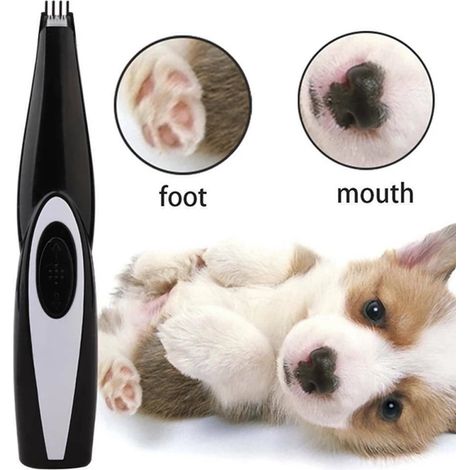 Tondeuse à pattes de chien électrique pieds d'animaux tondeuse à cheveux outil de toilettage chien rasoir fesses oreilles yeux tondeuse à cheveux à faible bruit