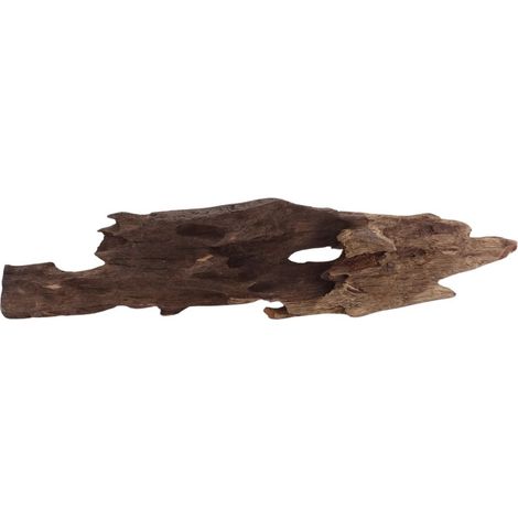 L Honey Comb Wurzel Nr.2051 Holz Deko Aquascaping