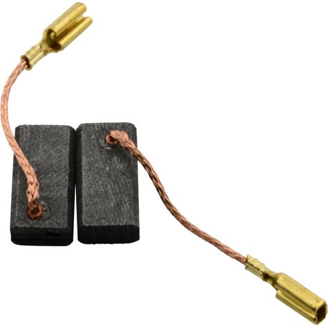 Balais de Charbon pour AEG NT 900 - 6x9x24,5mm