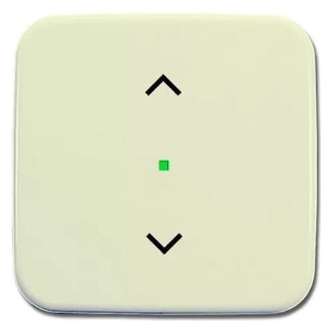 Busch-Jaeger Wippe 1-fach, Symbol Licht weiß 6232-10-212 (1/2)