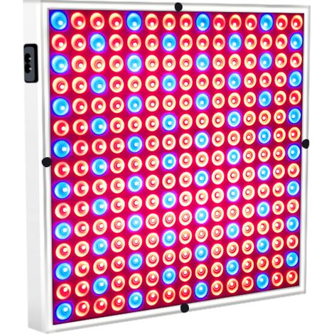 Plante LED élèvent le panneau lumineux Phyto Light Phyto Light pour les plantes d'intérieur et les fleurs de pépinière