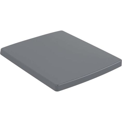 V&B WC-Sitz MEMENTO 2.0 Graphite C-plus, Quick-Release, Softclosing, Scharniere Edelstahl (1/5)