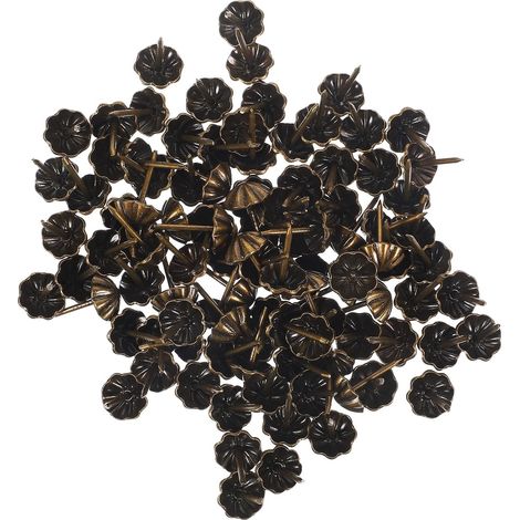 Unomor Lot de 100 clous décoratifs en fer pour meubles (1/5)