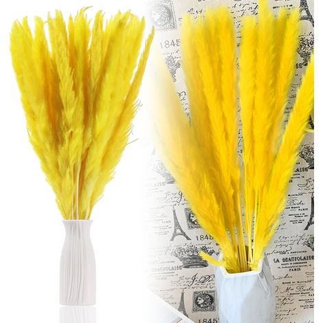 Pampas Grass - Natural Dried Reed Stems - 30 Pieces - 44 cm - Multi-Color Set for Wedding Decor DIY Home Decoration Photography