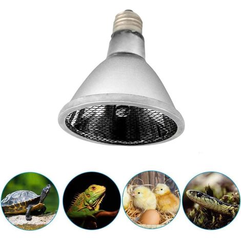 Heizlampe, Infrarot-Heizlampe, Hühnerstall-Heizlampe, Welpen-Heizlampe zum Warmhalten im Terrarium für Reptilien, 60 W (E27) (1/5)