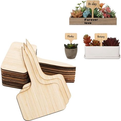 50 etichette, etichette per piante da giardino, etichette in legno per piante, etichette a forma di T per piante, etichette per piante grasse, per piantine, piante in vaso (1/5)
