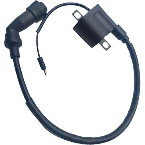 Accessories for BJ150-31 high voltage ignition coils for Benelli Little Dragon motorcycles (long cable included).