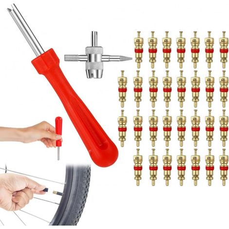 32 Pièces Valve Core Tool Set, 30 Valve Cores et 2 Valve Core Wrenches, Demonte Obus Valve, Metal and Plastic, for Car Tire Maintenance and Repair (1/5)