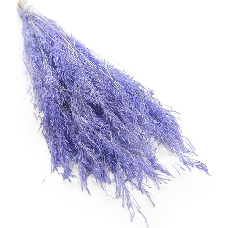 Planta temblorosa seca - (Briza Segromigno) - Lavanda