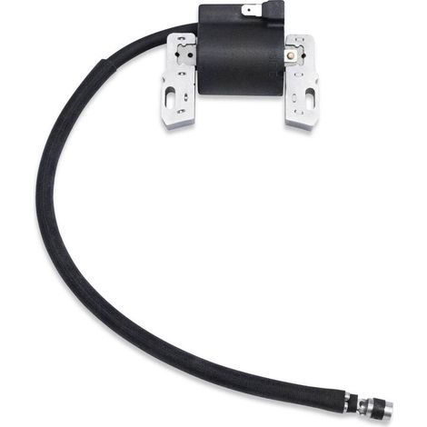Anwendbar 591459 492341 490586 491312 495859 Briggs and Stratton Anker-Magnetzündspule, Ersatzspule 33 - 347798212799650