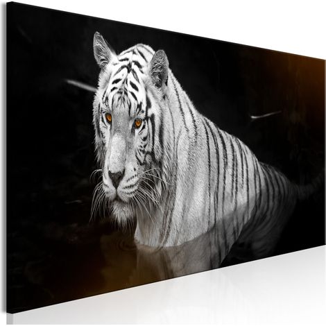 Quadro - Shining Tiger (1 Part) Orange Narrow - 150x50 (1/4)