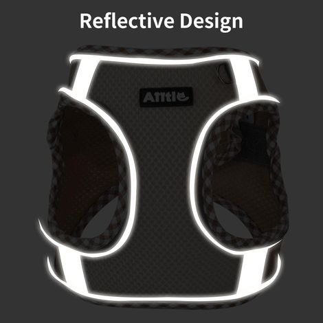 Harnais pour chat et petit chien anti-traction avec laisse, gilet de promenade respirant et réfléchissant, réglable pour un confort optimal (1/5)
