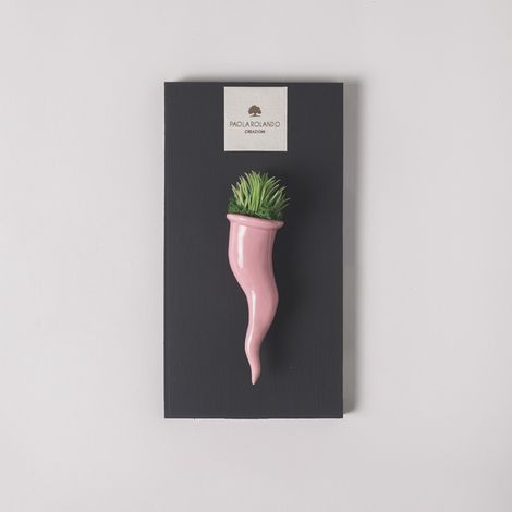 Pianta grassa succulenta in vaso ceramico artigianale Cornetto - Rosa