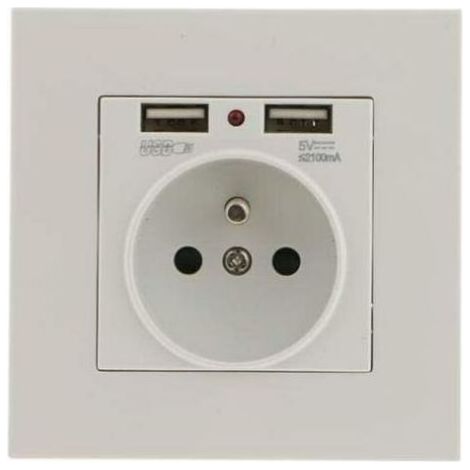 Prise Murale - Double Port USB 5V 2100mA - Pour Maison Bureau École Hôtel - Lot de 2 (1/4)