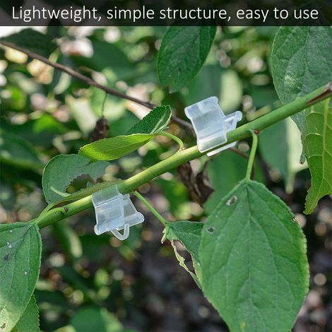 100 clips de greffage en plastique pour jeunes plants de légumes et d'arbres fruitiers - Outils de jardinage (1/5)