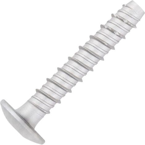 Vis béton Tête Bombée TORX TORX T30 6X40 Acier zingué - 1 pièce (1/5)