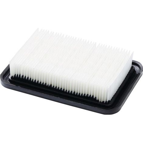 Nilfisk Flachfaltenfilter ATTIX 33/44 (1/3)