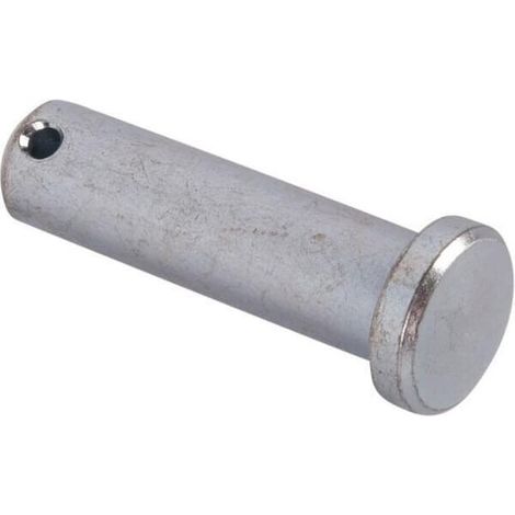 Pasador 14 x 50 GOLDONI 00009946 (1/2)