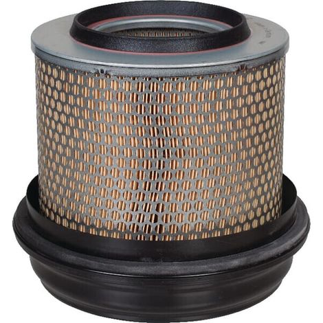 Filtre à air Mann Filter C21338 (1/2)