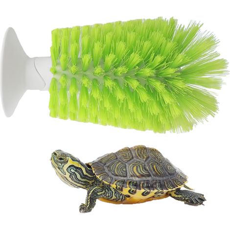 Brosse à récurer pour tortues – Ventouse aquarium – Exfolie carapace – Verte – Accessoire tortue