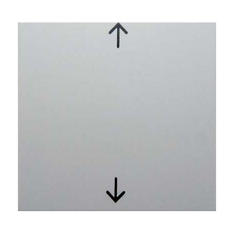 BERKER BASCULE PWS 16201919 SYMBOLE FLÈCHE B.1, B.3, B.7, S.1 CACHE POUR INTERRUPTEUR, BOUTON POUSSOIR, VARIATEUR D'INTENSITÉ