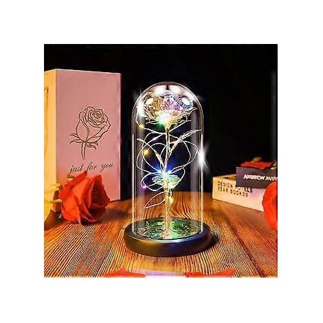Die Schöne und das Biest Rosenlampe in der Glaskuppel, künstliche Ewige Rose mit LED-Licht, Geschenk für Frauen und Mädchen zum Geburtstag, Valentinstag, Motten (1/5)