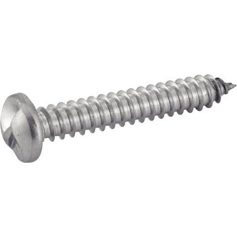 100 Vis à Tôle Tête Cylindrique Inviolable One Way 4.8 x 19 mm - TYPE DIN 7981 - Inox A2 - D-Work