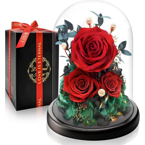 Rose Éternelle Rouge sous Cloche I Cadeau pour Noel, Saint-Valentin pour Femmes I Fleur Préservée avec Éclairage LED I Parfait pour Femme, Épouse, Maman (1/5)