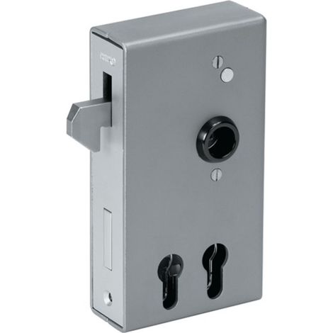 Cassa serratura per porta scorrevole 140SD-40ZW DIN L/S misura A40xB94,5xC173mm, rosetta 30/60mm (1/3)