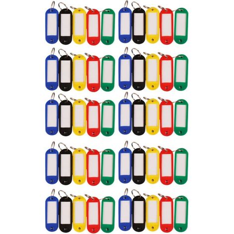 50 Pièces Étiquettes Porte-clés Colorées - Kit d'Organisation avec Anneaux pour Classement et Identification (1/5)