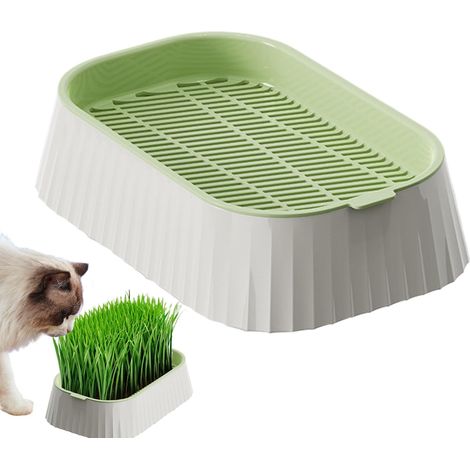 Katzengras Pflanzgefäß Hydrokultur doppellagige (1/5)