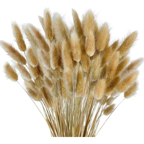 100 Stück getrocknete Kaninchenschwänze und Pampasgras, böhmische Dekoration für Blumenarrangements (1/5)