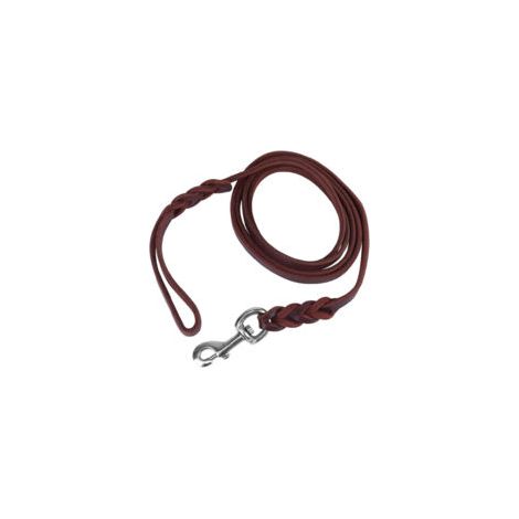 Laisse pour chien avec mousqueton en acier - Longueur totale 1,5 m (corde 1,2 m) - Résistante, confortable, pour promenade quotidienne (1/5)
