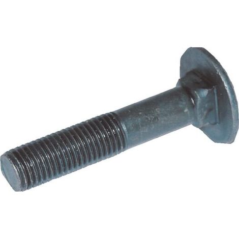 Vite a testa piatta M16x80 10.9 Lemken LEMKEN 3012292