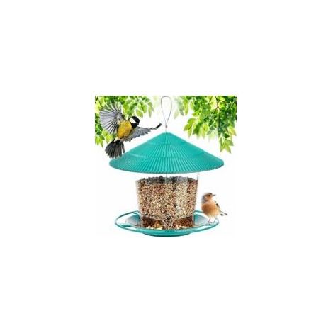 Mangeoire à oiseaux suspendue grande capacité – Distributeur à graines pour petits oiseaux – Boîtier transparent – Protection pluie et neige